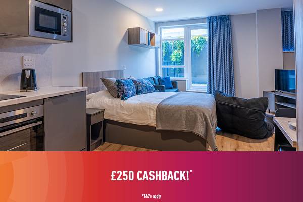 Boutique Student Living Swansea property